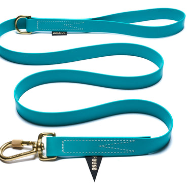 Water Resistant Standard 5ft Leash, Aqua | Found My Animal