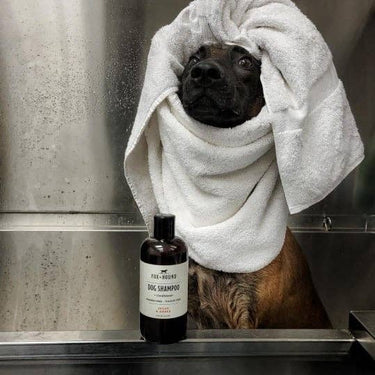 DOG SHAMPOO + CONDITIONER FOX + HOUND ARGAN & AMBER