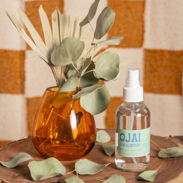 Dog Calming Spray with Lavender (nontoxic and vegan): Plastic / 4 oz