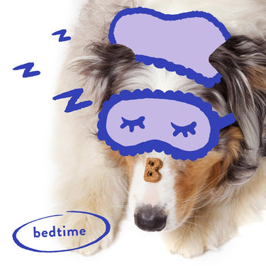 Bocce's Sweet Dreams Soft & Chewy TreatsDog TreatsFound My Animal