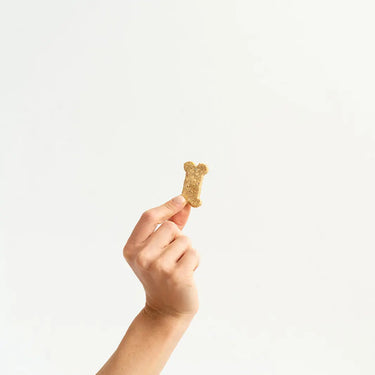 Celebration Cookies