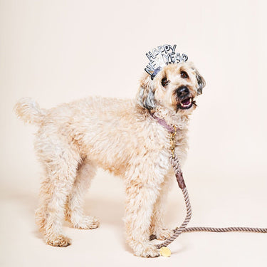 Dark Tan Rope Dog Leash, AdjustableShop LeashesFound My AnimalS