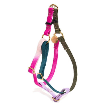 Found My Animal Jolie Webbing Dog HarnessDog & Cat HarnessesFound My AnimalXS
