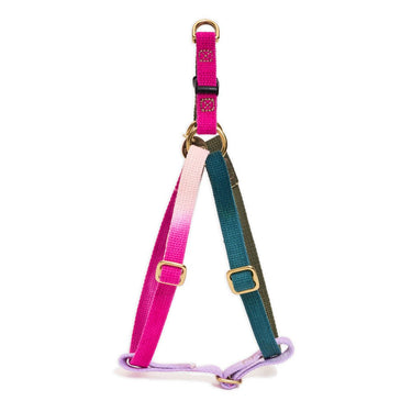 Found My Animal Jolie Webbing Dog HarnessDog & Cat HarnessesFound My AnimalXS