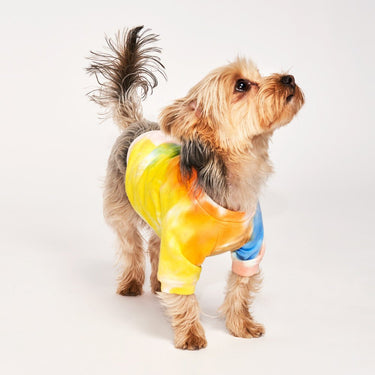 Found My Animal Soleil Tie Dye Dog TeePuffers, Hoodies, CoatsFound My AnimalXS