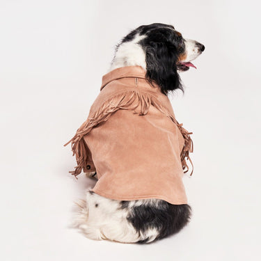 Found My Animal Tan Faux Leather Fringe Dog JacketPuffers, Hoodies, CoatsFound My AnimalXS