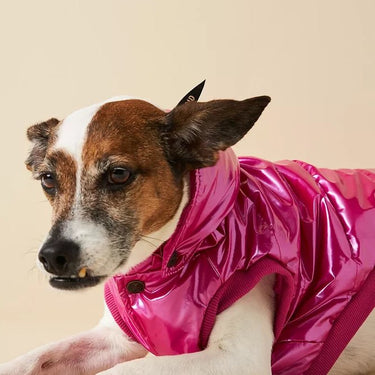 Found My Animal X Anthropologie Puffer Coat With Removable Hood, RaspberryPuffers, Hoodies, CoatsFound My AnimalS