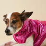Found My Animal X Anthropologie Puffer Coat With Removable Hood, RaspberryPuffers, Hoodies, CoatsFound My AnimalS