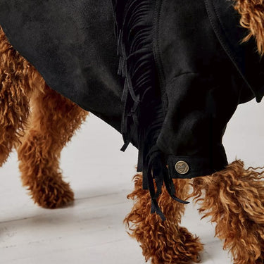 Found My Animal X Fp Fleece, BlackPuffers, Hoodies, CoatsFound My AnimalXS