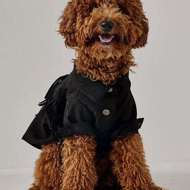 Found My Animal X Fp Fleece, BlackPuffers, Hoodies, CoatsFound My AnimalXS