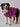 Found My Animal X Fp Fleece, Super PinkPuffers, Hoodies, CoatsFound My AnimalXS