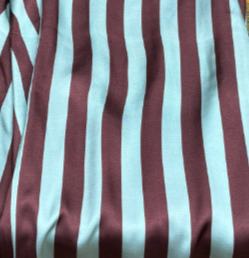 Anthro x FMA PJ's Blue Strip