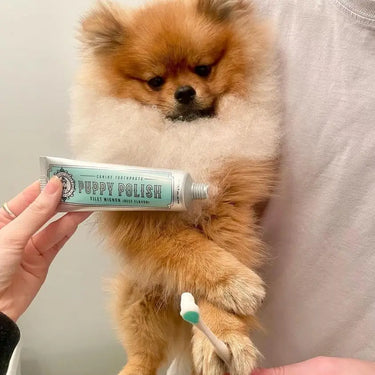 Puppy Polish Toothpaste - Filet Mignon (Beef)
