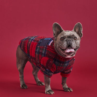 Vineyard Vines X Fma Pet Super Shep Shirt, Red VelvetVineyard Vines CollectionFound My AnimalXS